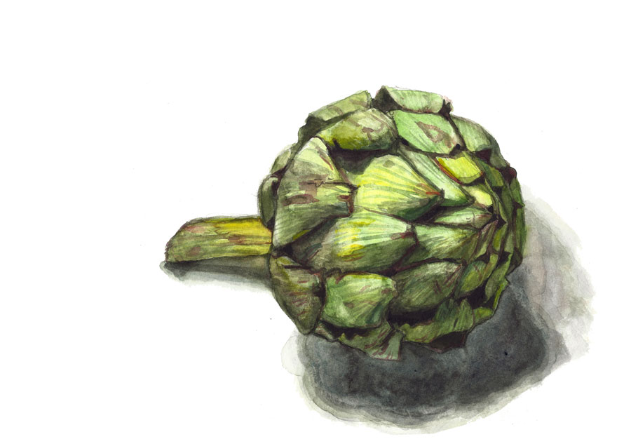 Aquarellierte Artischocke in Grüntönen mit realistischer Schattierung auf weißem Hintergrund.