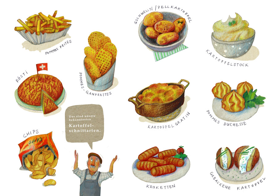 Illustration zeigt verschiedene Kartoffelgerichte: Pommes, Rösti, Pellkartoffeln, Gratin, Chips, Kroketten; Text erklärt